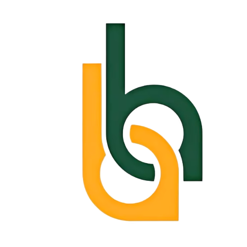 bistrobiryani